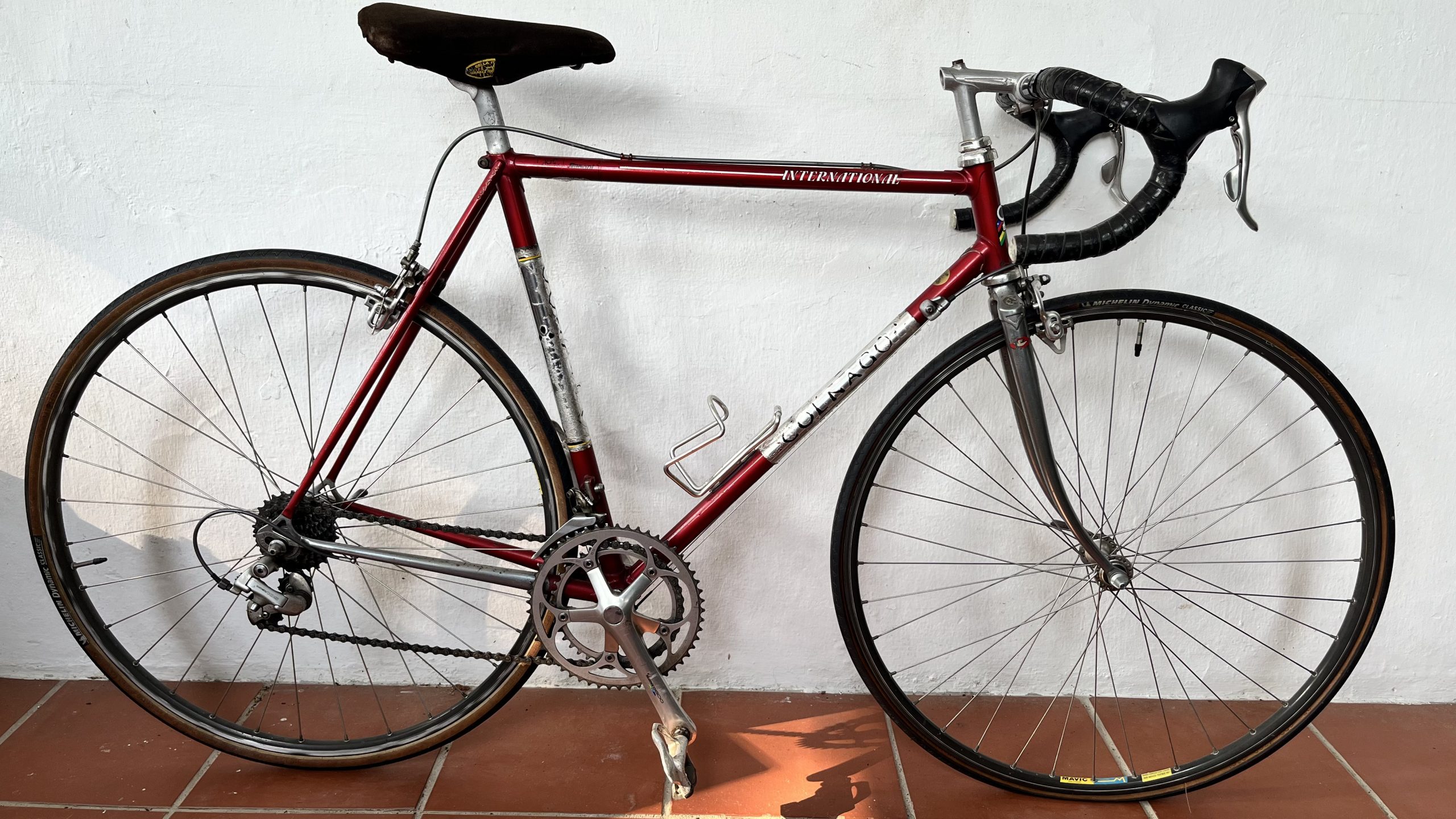 Colnago International