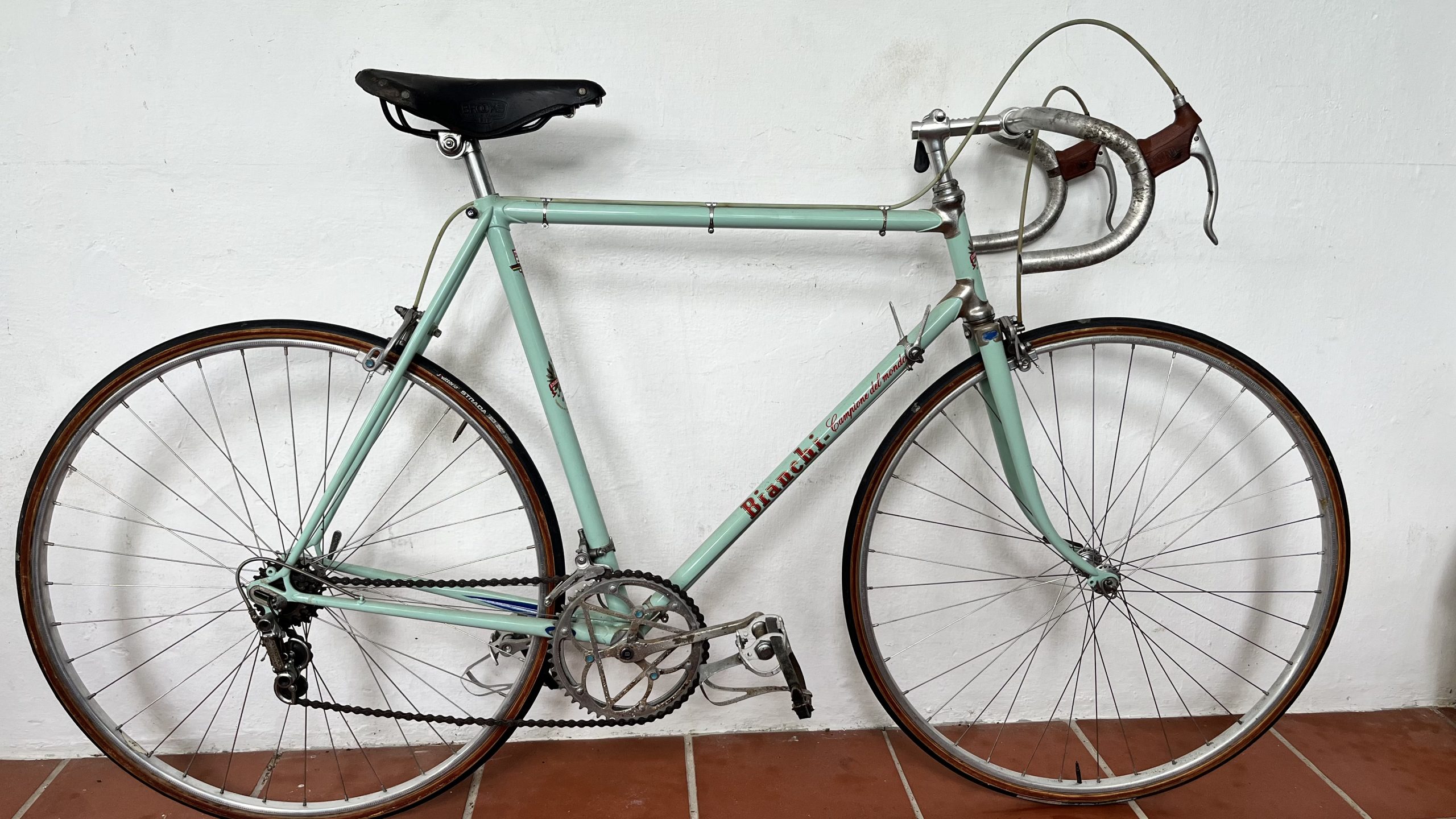 Bianchi Campione Del Mondo 1950s